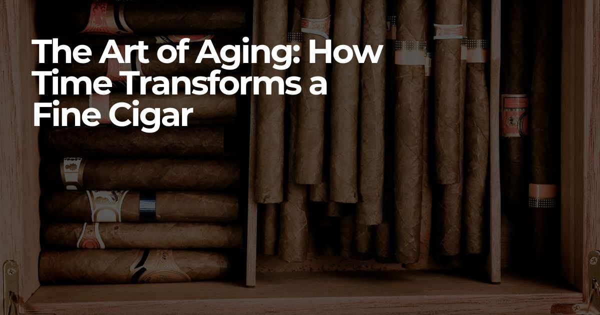The Art of Aging: How Time Transforms a  Fine Cigar