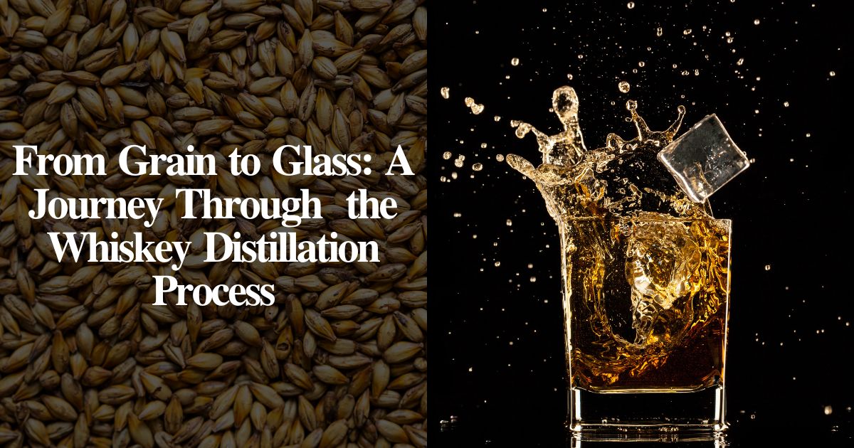 From Grain to Glass: A Journey Through  the Whiskey Distillation Process