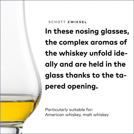 The Bar Special Nosing Glass Set of 6 — A Journey for the Senses