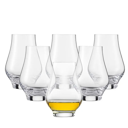 The Bar Special Nosing Glass Set of 6 — A Journey for the Senses